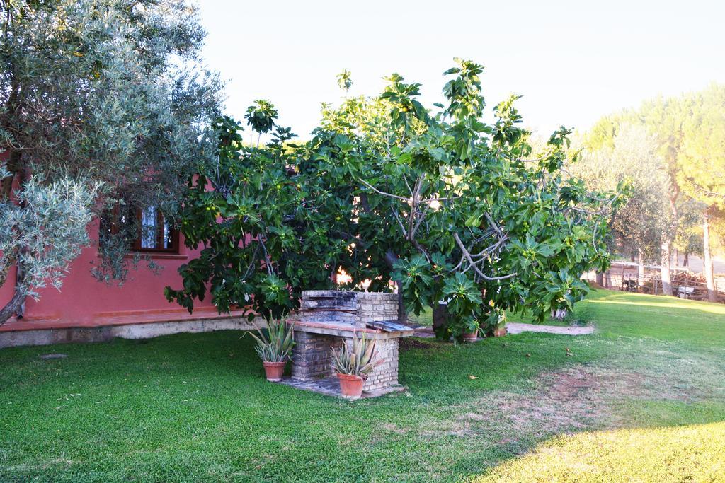 Agriturismo L'Aquilone Мальяно-ин-Тоскана Экстерьер фото