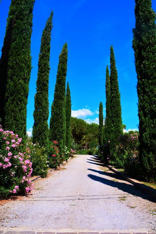 Agriturismo L'Aquilone Мальяно-ин-Тоскана Экстерьер фото